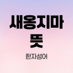 새옹지마-뜻