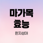 마가목효능