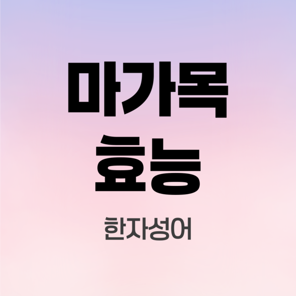 마가목효능